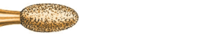 Komet 2379