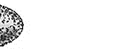 379