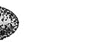 379UF