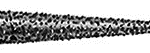 FSD9EF / 859EF