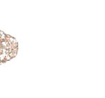DIAO - KP6379