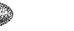 ZR6379
